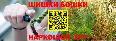 стаф Новокубанск