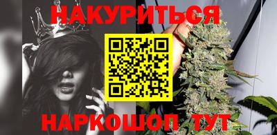 стаф Новокубанск