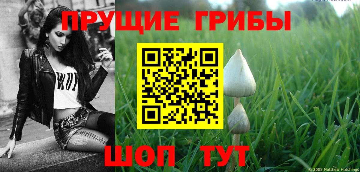 Галлюциногенные грибы ЛСД Вологда