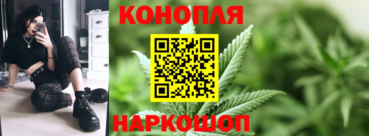 Марихуана SATIVA & INDICA  Вход с VPN  Вологда  Канабис сатива  Каннабис White Widow  МАРИХУАНА сатива 